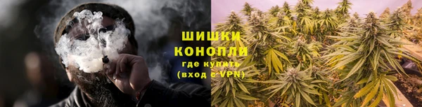 бутират Богданович