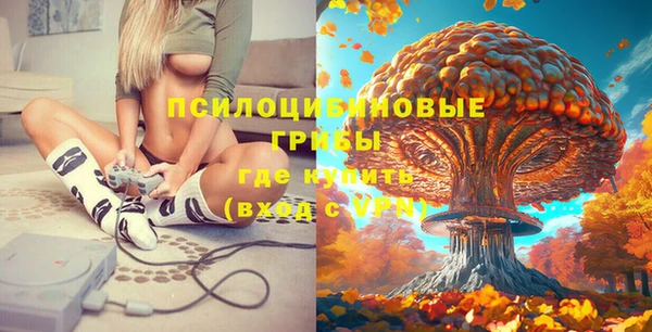 MDMA Богородицк
