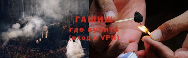 мдпв Богородск