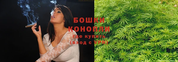 бутират Богданович