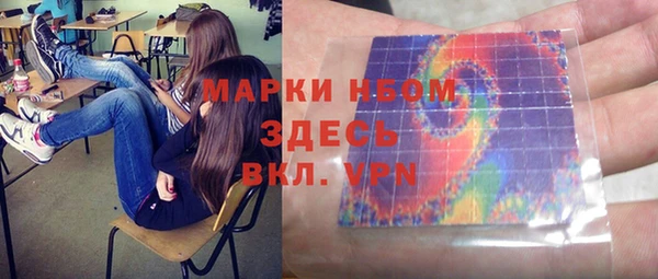 мдпв Снежногорск