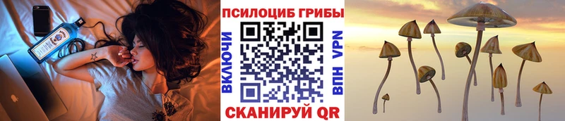 мориарти официальный сайт  Нахабино  Псилоцибиновые грибы ЛСД  хочу наркоту 